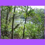 Nature Trail - UNF.jpg